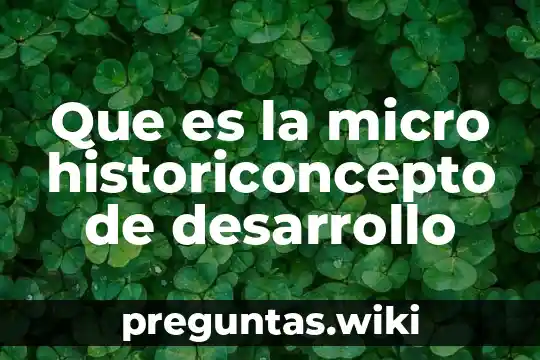 Que es la micro historiconcepto de desarrollo