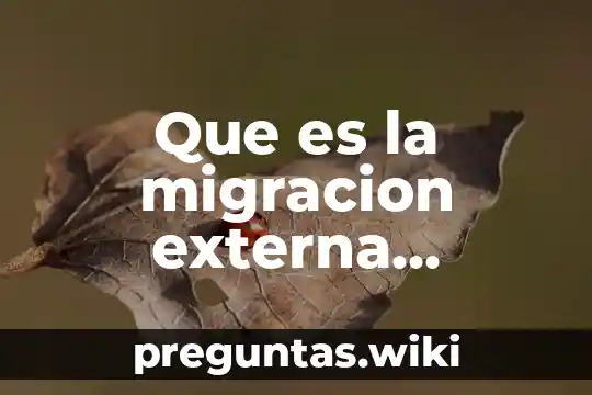 Que es la migracion externa definición