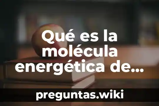 Qué es la molécula energética de los seres vivos
