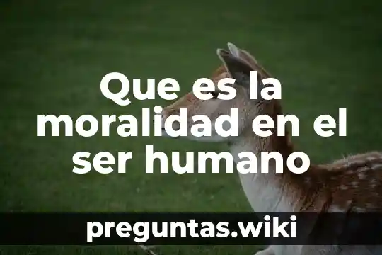 Que es la moralidad en el ser humano