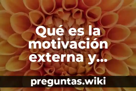 Qué es la motivación externa y interna