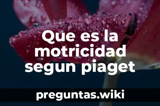 Que es la motricidad segun piaget