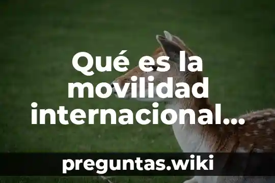 Qué es la movilidad internacional del capital