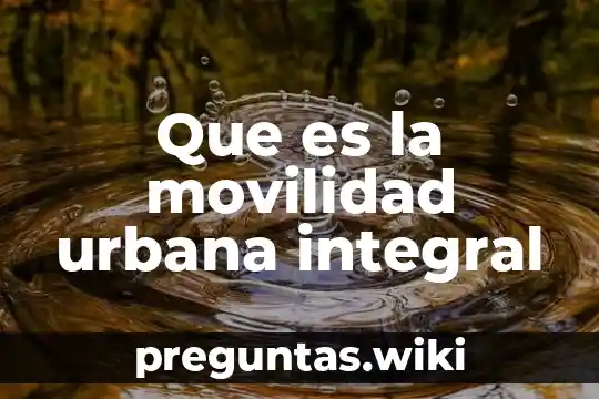Que es la movilidad urbana integral