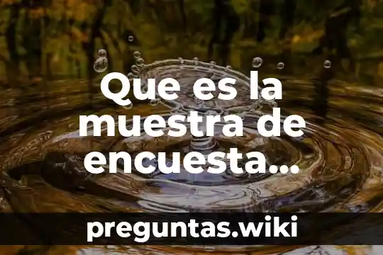 Que es la muestra de encuesta ejemplo