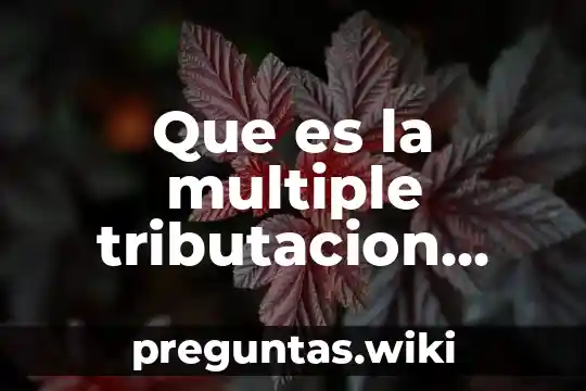 Que es la multiple tributacion interna