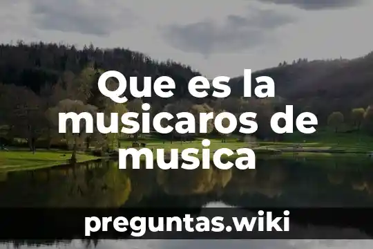 Que es la musicaros de musica