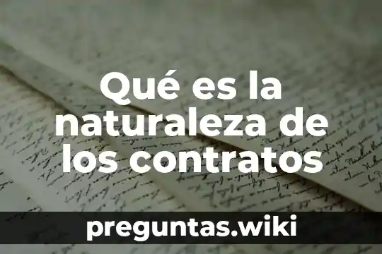 Qué es la naturaleza de los contratos