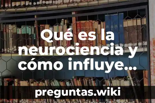 Qué es la neurociencia y cómo influye en el aprendizaje