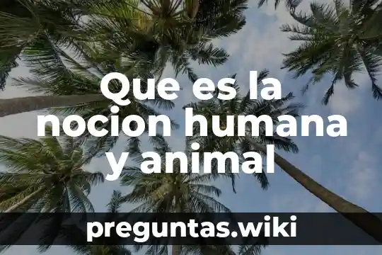 Que es la nocion humana y animal