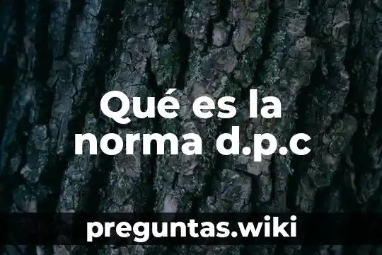 Qué es la norma d.p.c