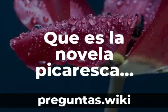 Que es la novela picaresca definicion