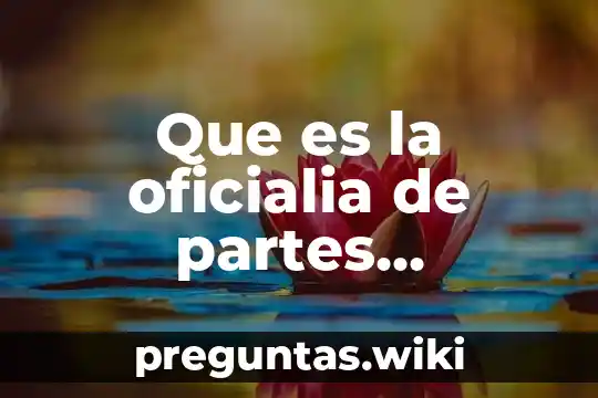 Que es la oficialia de partes electronica