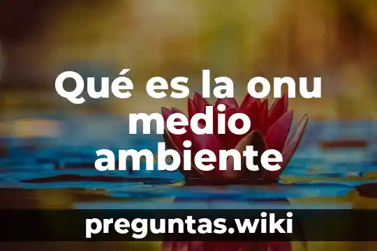 Qué es la onu medio ambiente