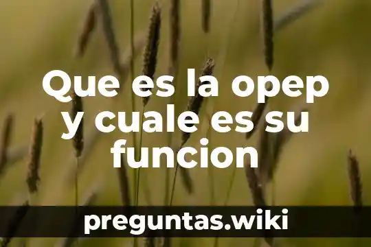 Que es la opep y cuale es su funcion