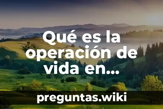 Qué es la operación de vida en economía