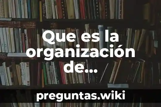 Que es la organización de administracion
