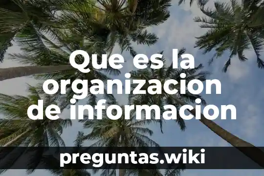 Que es la organizacion de informacion