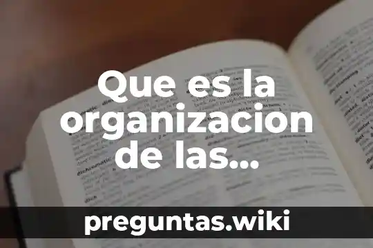 Que es la organizacion de las funciones informaticos
