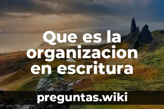 Que es la organizacion en escritura