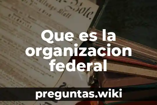 Que es la organizacion federal