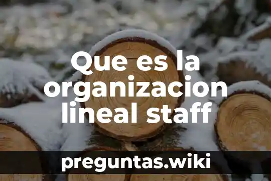 Que es la organizacion lineal staff