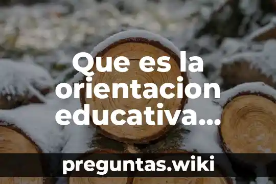 Que es la orientacion educativa donde surge
