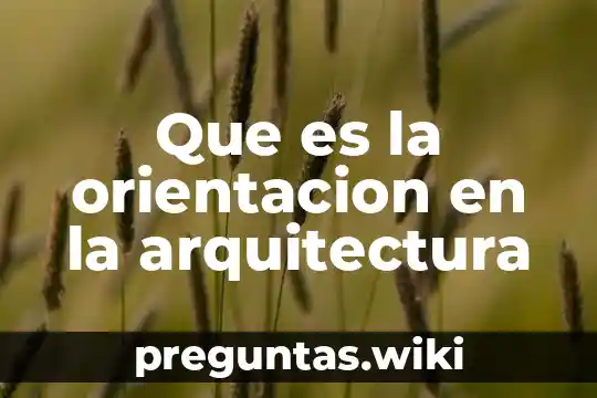 Que es la orientacion en la arquitectura