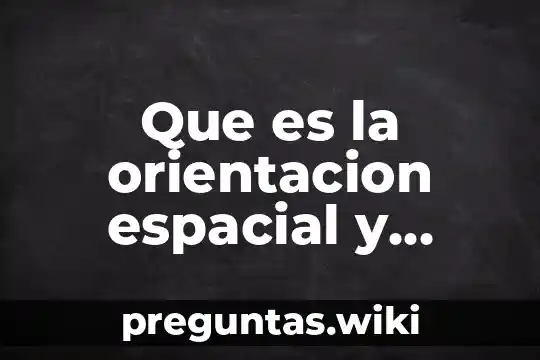 Que es la orientacion espacial y temporal