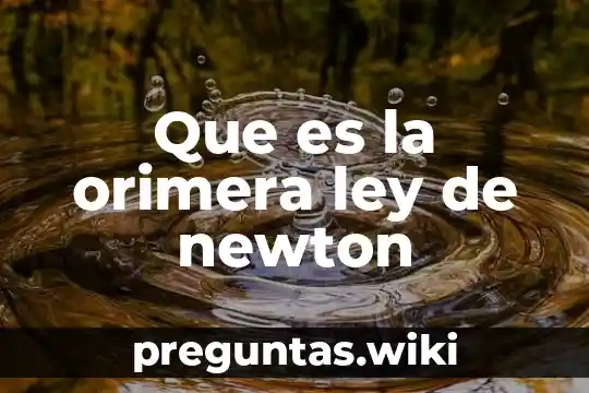 Que es la orimera ley de newton