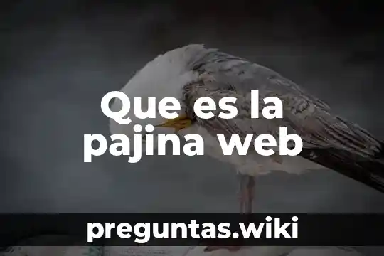 Que es la pajina web