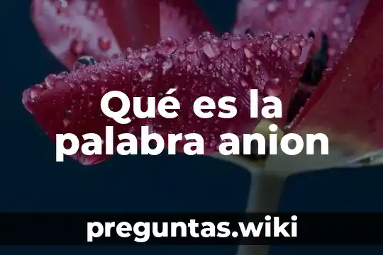 Qué es la palabra anion