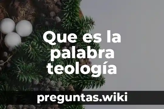 Que es la palabra teología