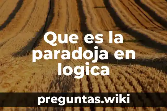 Que es la paradoja en logica