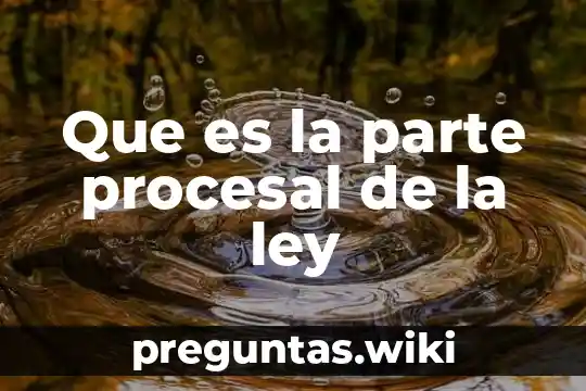 Que es la parte procesal de la ley