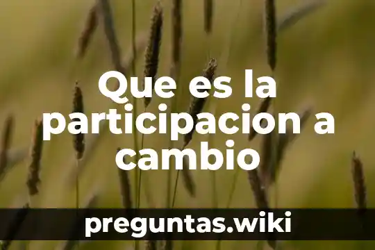 Que es la participacion a cambio