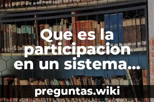 Que es la participacion en un sistema democratico