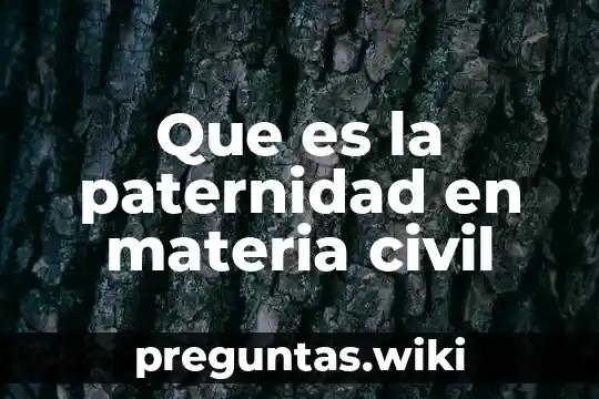 Que es la paternidad en materia civil