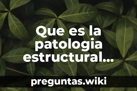 Que es la patologia estructural mina