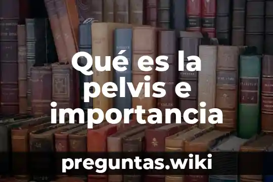 Qué es la pelvis e importancia