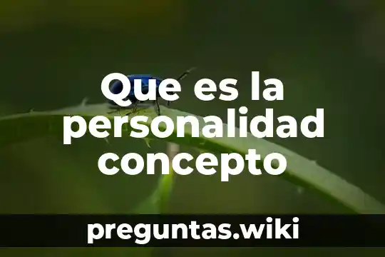 Que es la personalidad concepto