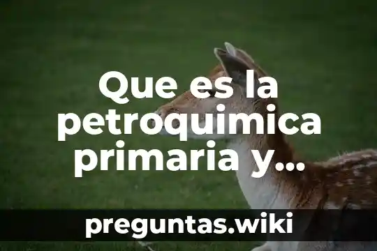 Que es la petroquimica primaria y secundaria
