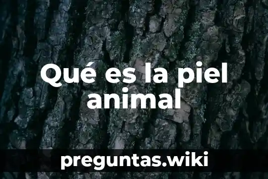 Qué es la piel animal