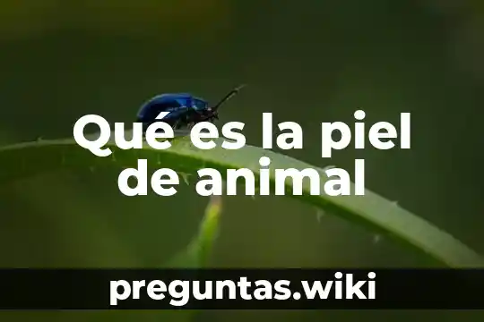 Qué es la piel de animal