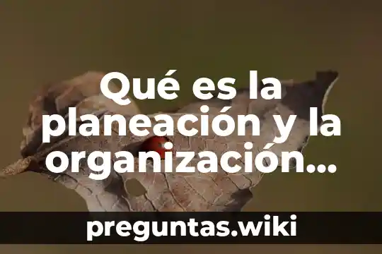 Qué es la planeación y la organización según autores