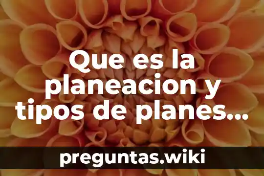 Que es la planeacion y tipos de planes existen