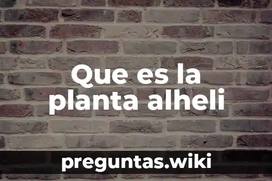 Que es la planta alheli