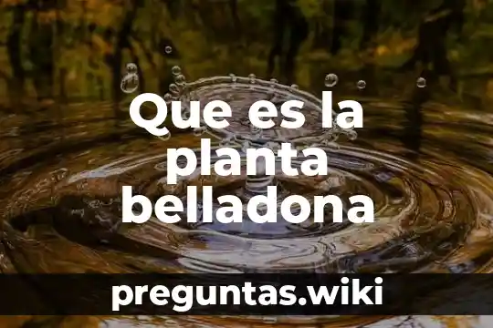 Que es la planta belladona