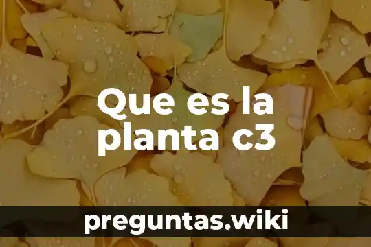 Que es la planta c3