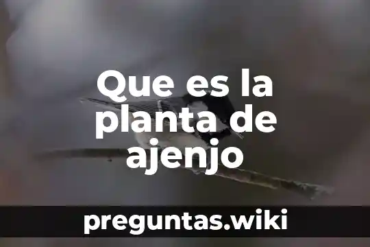 Que es la planta de ajenjo